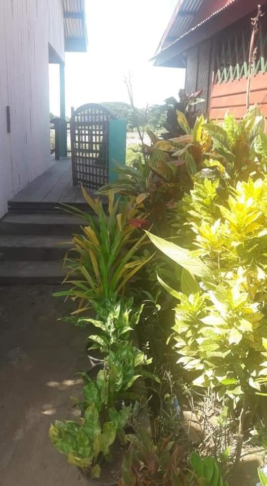 Sompong Sunset View Guest House Don Det Room photo